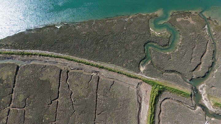 Saltmarsh channels