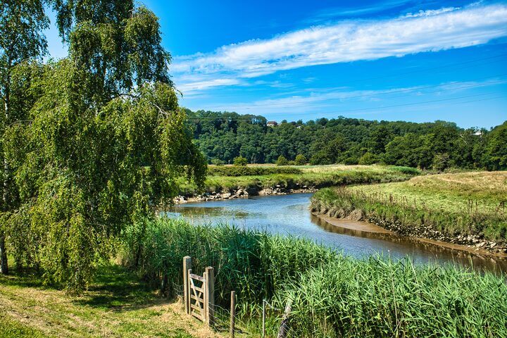 River Torridge meandering