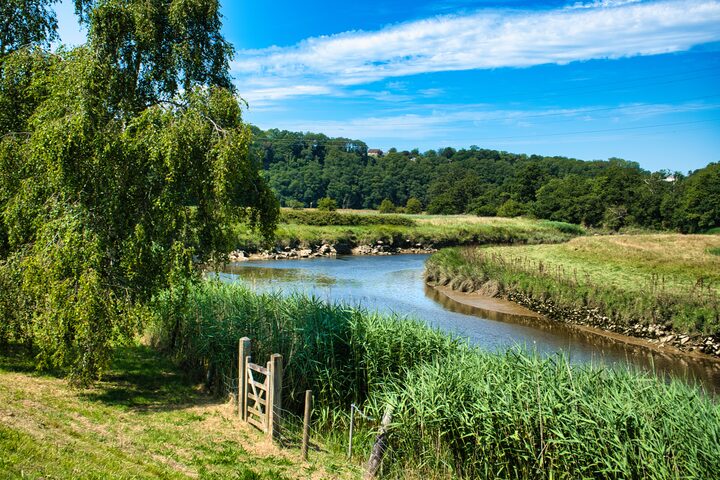 River Torridge meandering